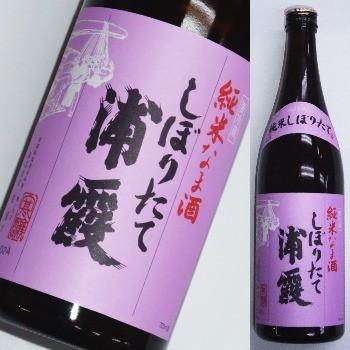 浦霞　しぼりたて純米生酒　【季節限定】　720ml | 浦霞