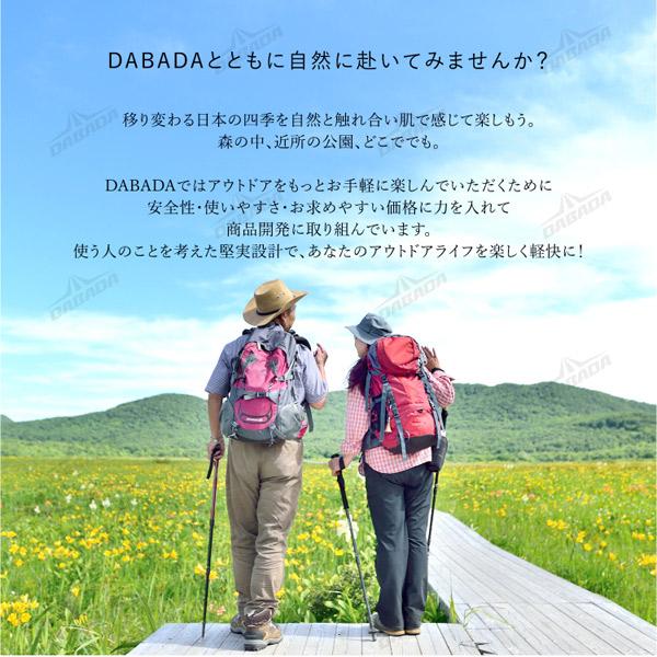 (あすつく)(15時迄当日出荷) DABADA(ダバダ):トレッキングポールSG シルバー a-pole トレッキングポール 登山 ウォーキング｜ichinennet-plus｜03