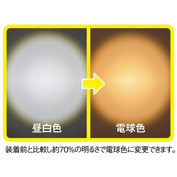 musashi(ムサシ):センサーライト用電球色レンズ SP-12｜ichinennet-plus｜04