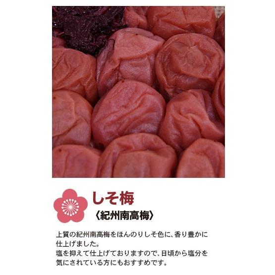 訳有り 紀州南高梅 6種類から選べる紀州産梅干し 400g (100g×4) : 一の