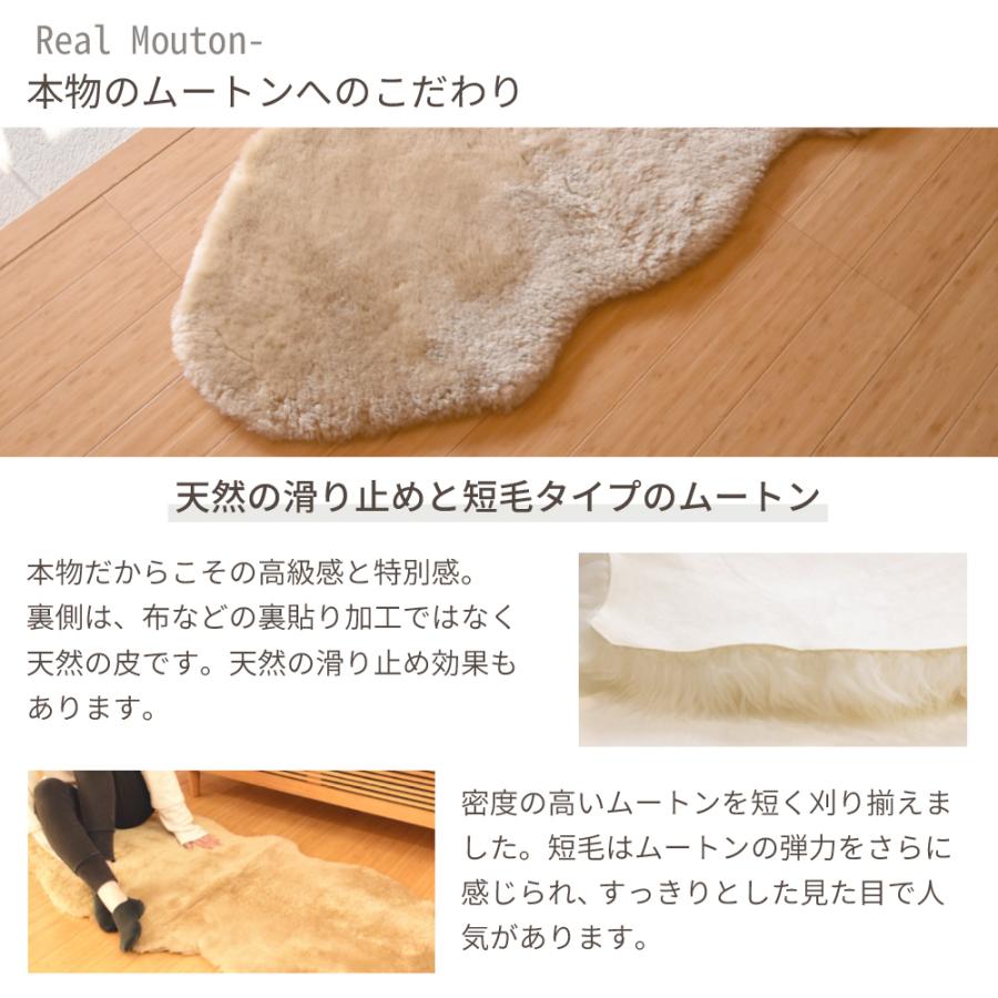 丸八真綿 《丸洗いOK》洗えるスプリングラム 1匹サイズ 短毛 リアル