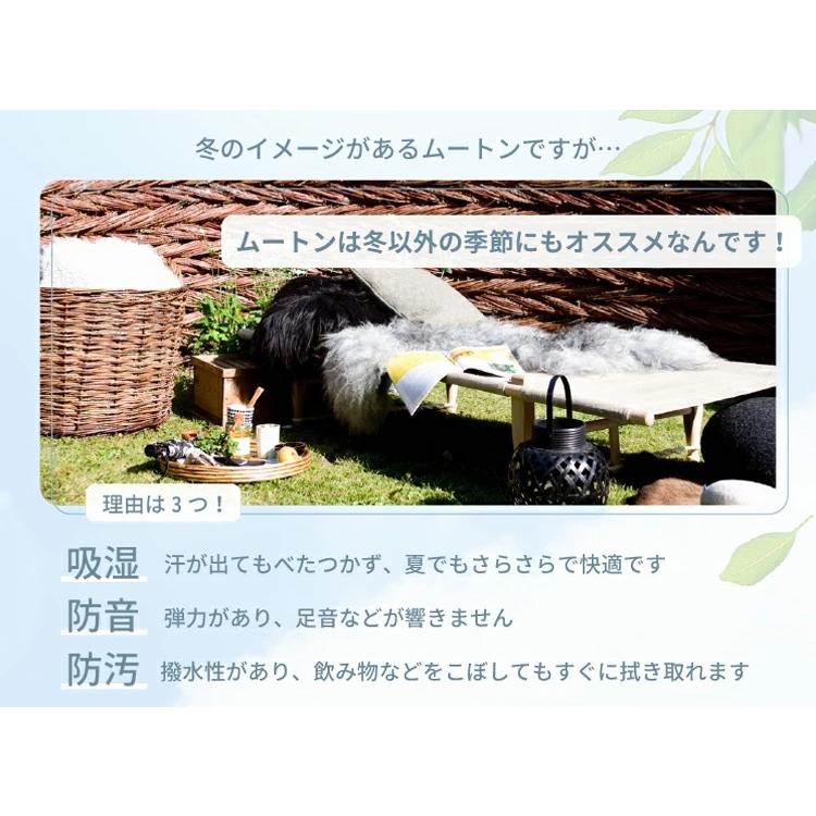 丸八真綿 【アウトレット価格】 洗えるスプリングラム 8匹サイズ 長毛