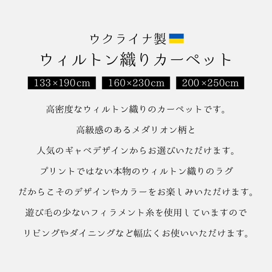 【アウトレット価格】ウクライナ製 ウィルトン織り カーペット 133×190cm 160×230cm 200×250cm ラグ マット 室内 リビング ダイニング モダン 送料無料_1