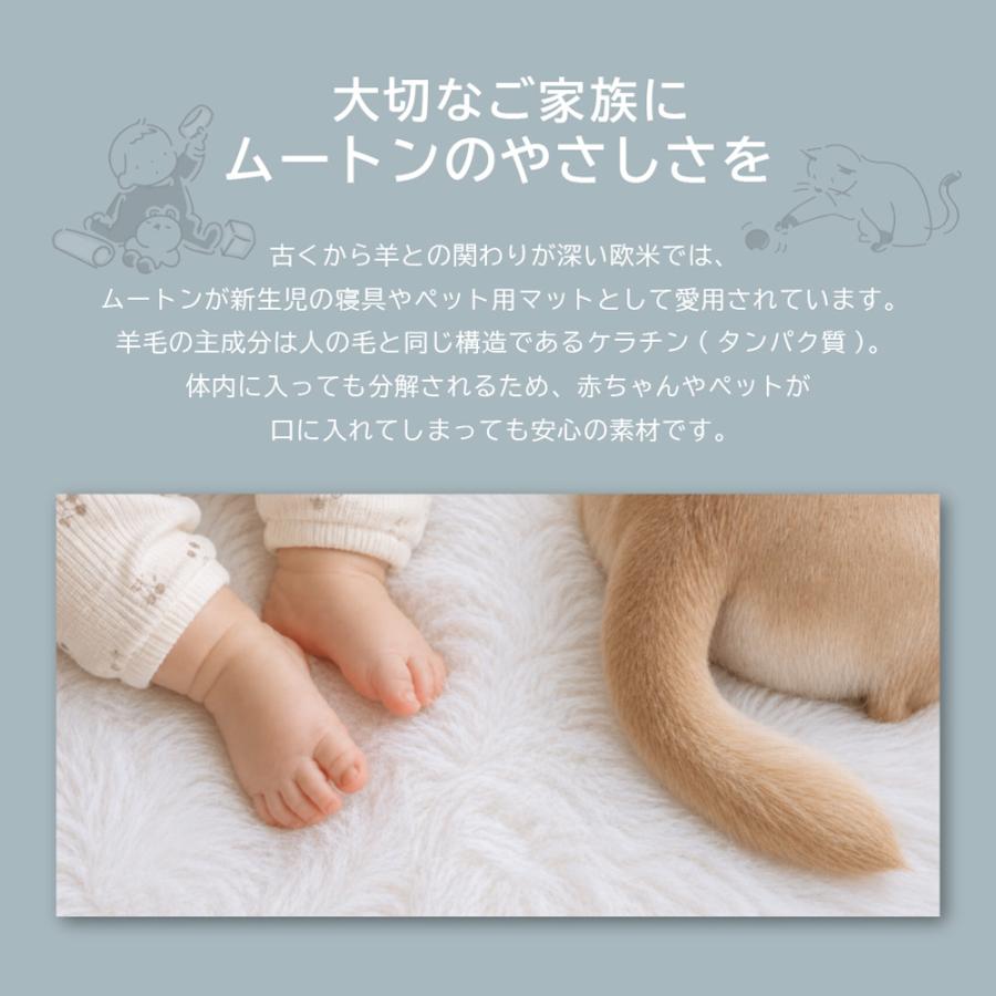 丸八真綿 ムートン シートクッション 角形 40×40cm 短毛 2枚セット