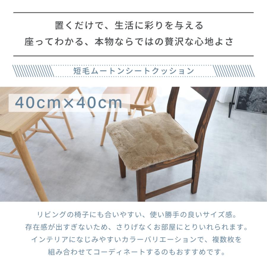 丸八真綿 ムートン シートクッション 角形 40×40cm 短毛 2枚セット