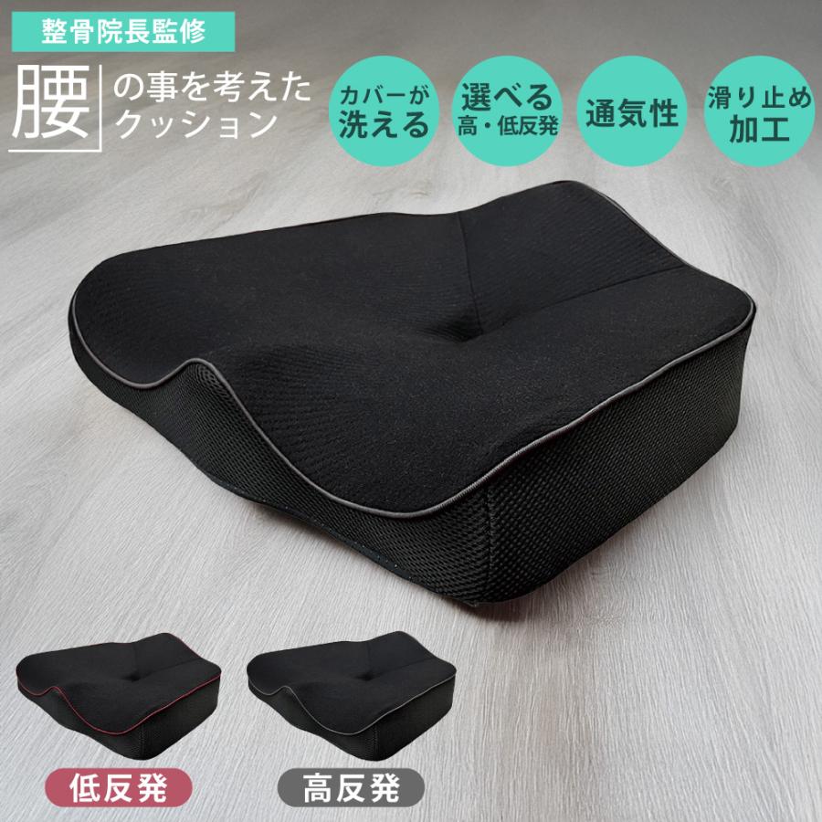 MORIPiLO 【2点同時購入で送料無料！】 整骨院長監修 腰の事を考えた