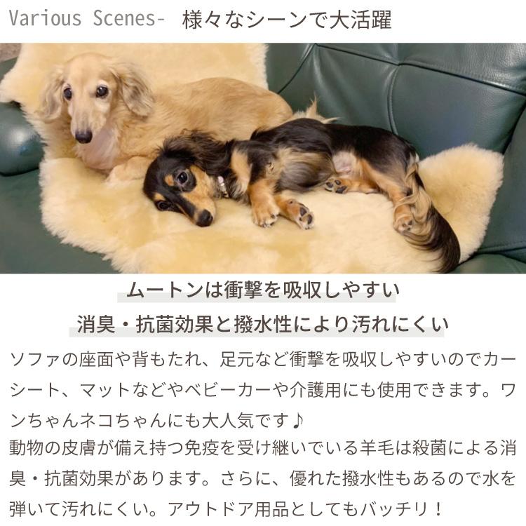 丸八真綿 【レビュー特典付 お手入れブラシ】 《丸洗いOK》洗える