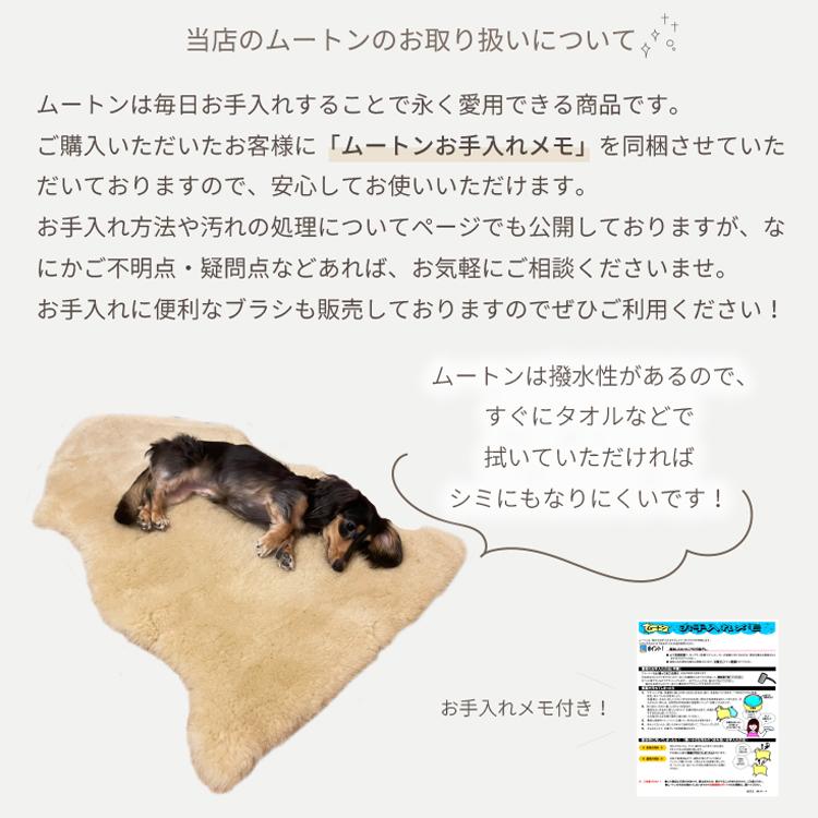 丸八真綿 【レビュー特典付 お手入れブラシ】 2枚セット 洗える