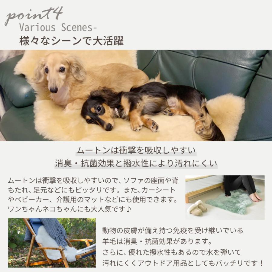 丸八真綿 洗える ムートンラグ 2匹サイズ basic style 送料無料