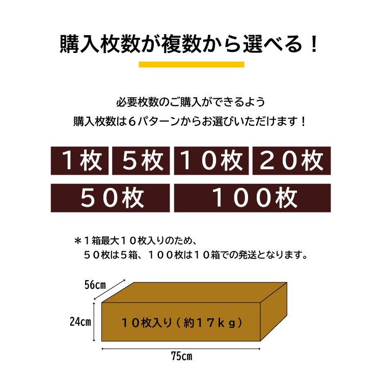 災害用毛布 10枚セット 難燃性 圧縮毛布 防災用品 非常用 救助用 災害用毛布 10枚セット 難燃性 圧縮毛布 防災用品 非常用 救助用