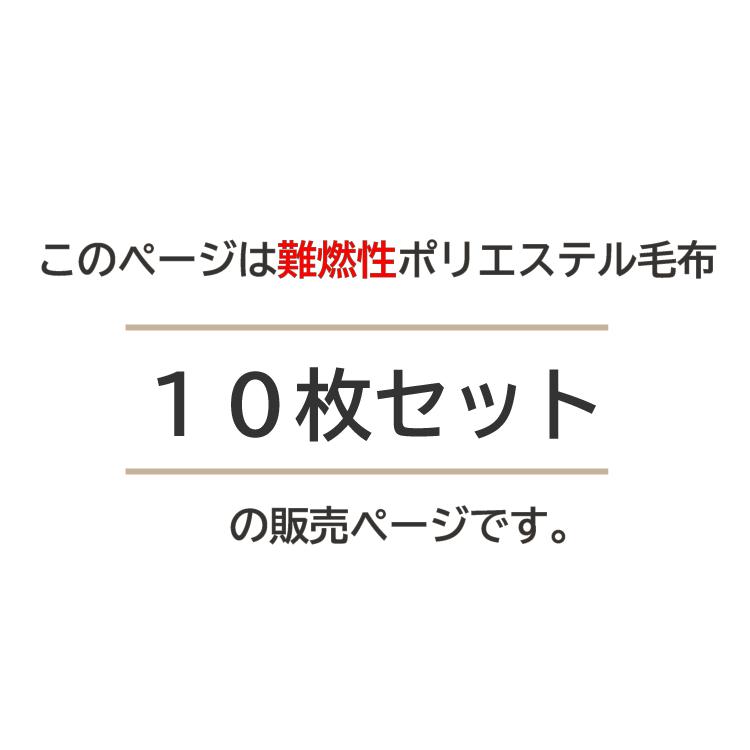 災害用毛布 10枚セット 難燃性 圧縮毛布 防災用品 非常用 救助用 災害用毛布 10枚セット 難燃性 圧縮毛布 防災用品 非常用 救助用