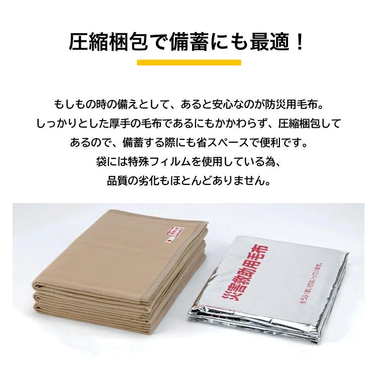災害用毛布 10枚セット 難燃性 圧縮毛布 防災用品 非常用 救助用 災害用毛布 10枚セット 難燃性 圧縮毛布 防災用品 非常用 救助用