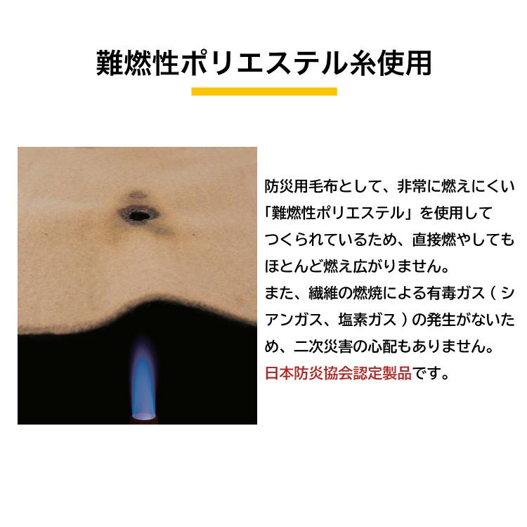 災害用毛布 10枚セット 難燃性 圧縮毛布 防災用品 非常用 救助用 災害用毛布 10枚セット 難燃性 圧縮毛布 防災用品 非常用 救助用
