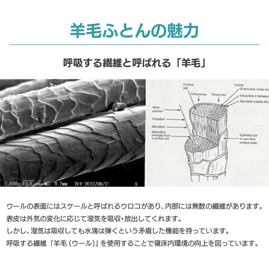 丸八真綿 日本製 3層 羊毛 混 敷きふとん シングル ポリエステル 硬綿