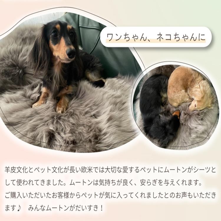 未使用　丸八真綿　ムートンラグ　ブラウン　120cm　1.5匹　新品　ファー 丸八真綿 レビュー特典付 お手入れブラシ 【アウトレット価格
