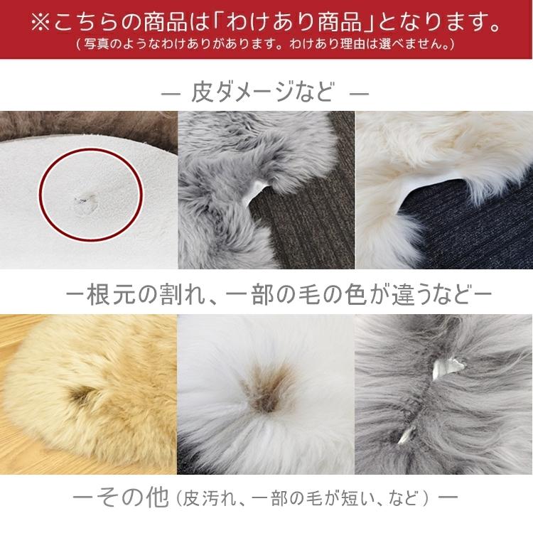 丸八真綿 【わけあり価格】難あり 洗えるスプリングラム 長毛 2匹