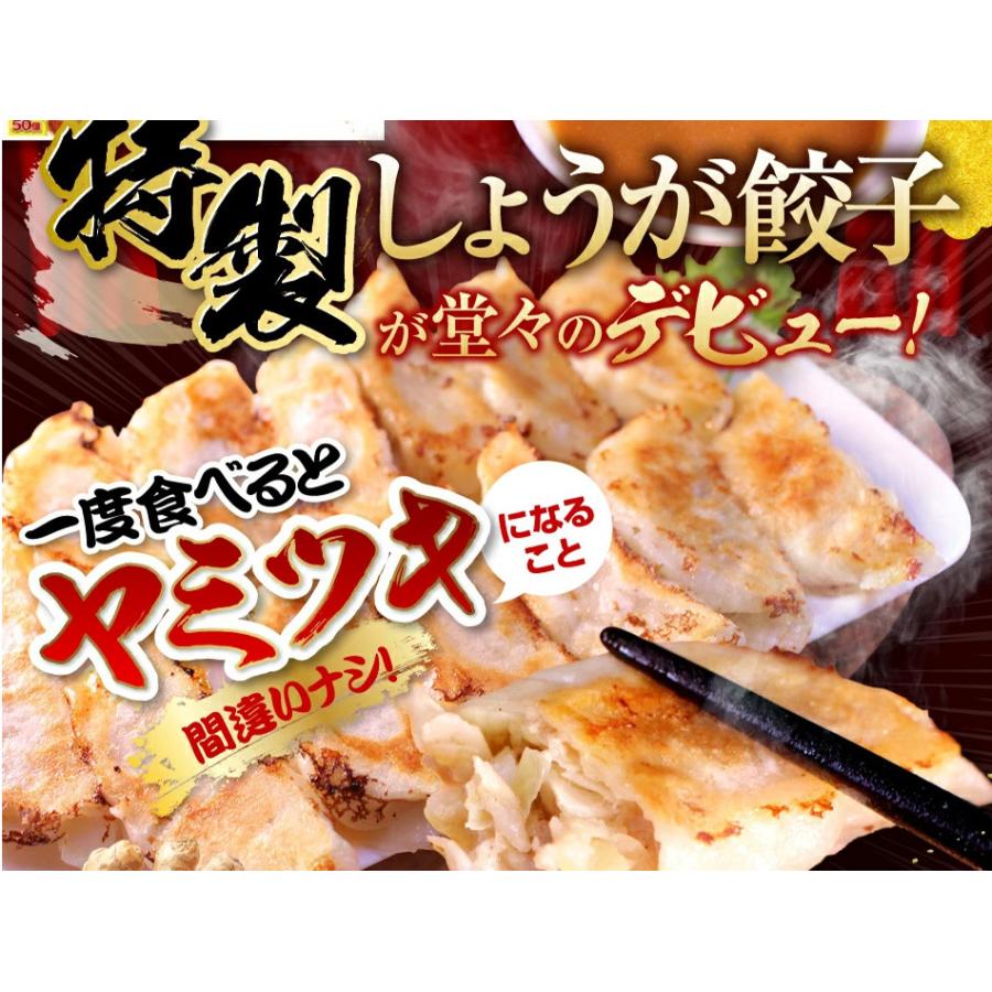 同梱専用 特製しょうが餃子３０個同梱専用 味噌だれ付 生姜餃子 しょうが 冷凍餃子 業務用 ぎょうざ お取り寄せ コロナ 応援 在庫処分 支援 訳あり Sgyouga Gz 30 Sfi 餃子専門店イチロー 通販 Yahoo ショッピング