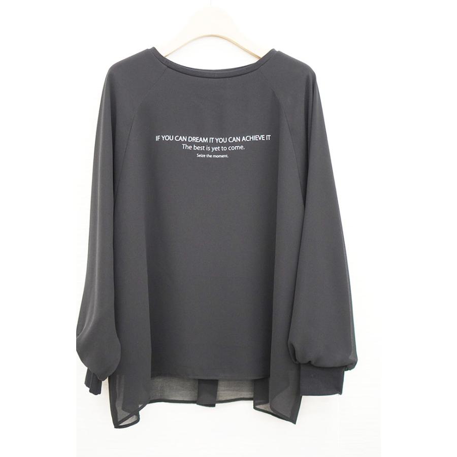 PASSIONE パシオーネ シアー レイヤード 長袖カットソー きれいめコーデ 大人カジュアル 616942 | PASSIONE | 12