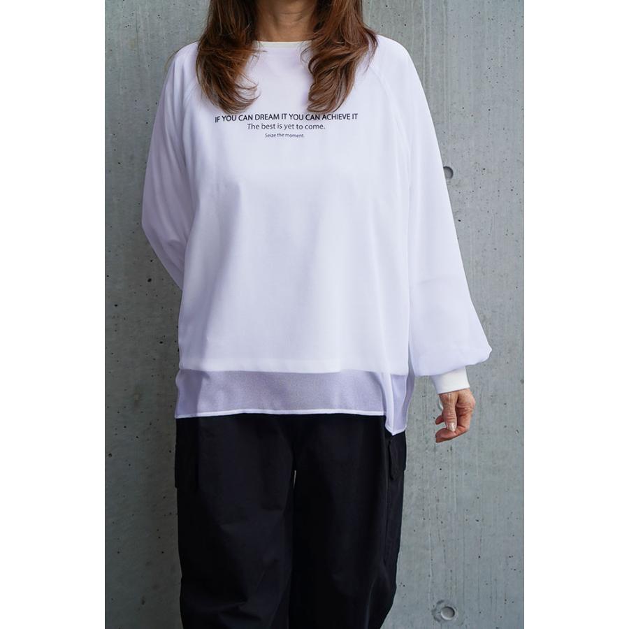 PASSIONE パシオーネ シアー レイヤード 長袖カットソー きれいめコーデ 大人カジュアル 616942 | PASSIONE | 04