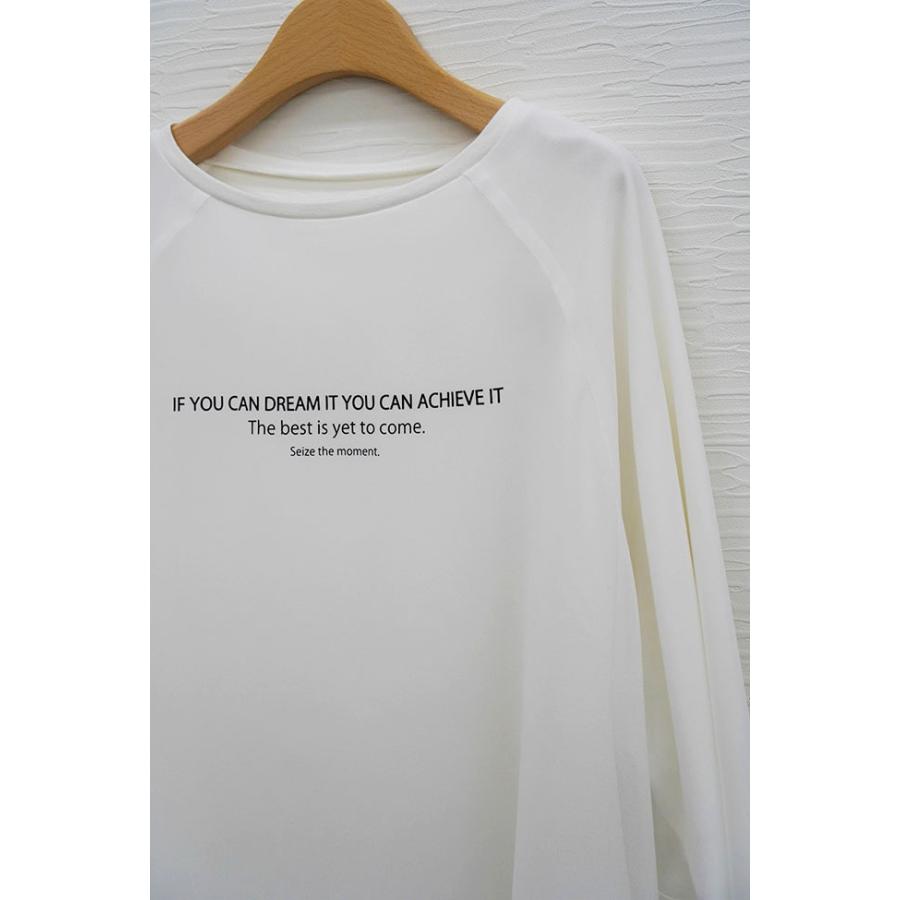 PASSIONE パシオーネ シアー レイヤード 長袖カットソー きれいめコーデ 大人カジュアル 616942 | PASSIONE | 08