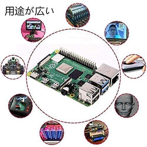 新品 送料無料新品 送料無料RasTech Raspberry Pi Model B（RAM 2GB