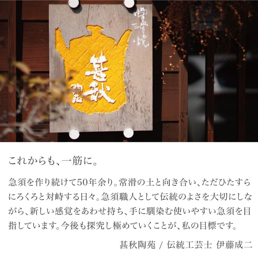 甚秋陶苑 伊藤成二 極平型急須 藻掛け急須 横手 常滑焼 手作り 藻がけ