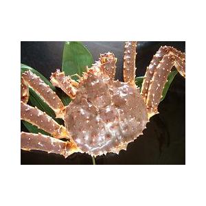 海外最新 厳選の堅蟹 本タラバ蟹オス4 5kg前後 T 016 イチヨ今野水産 通販 Yahoo ショッピング 半額品 Euroimpex Lv