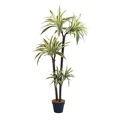 日本大特価 人工観葉植物 フェイクグリーン 観葉植物 造花 ドラセナ ツリー 陶器鉢付 光触媒 大型 フェイク グリーン インテリア おしゃれ 146cm 直売本物 Ssl Daikyogo Or Jp
