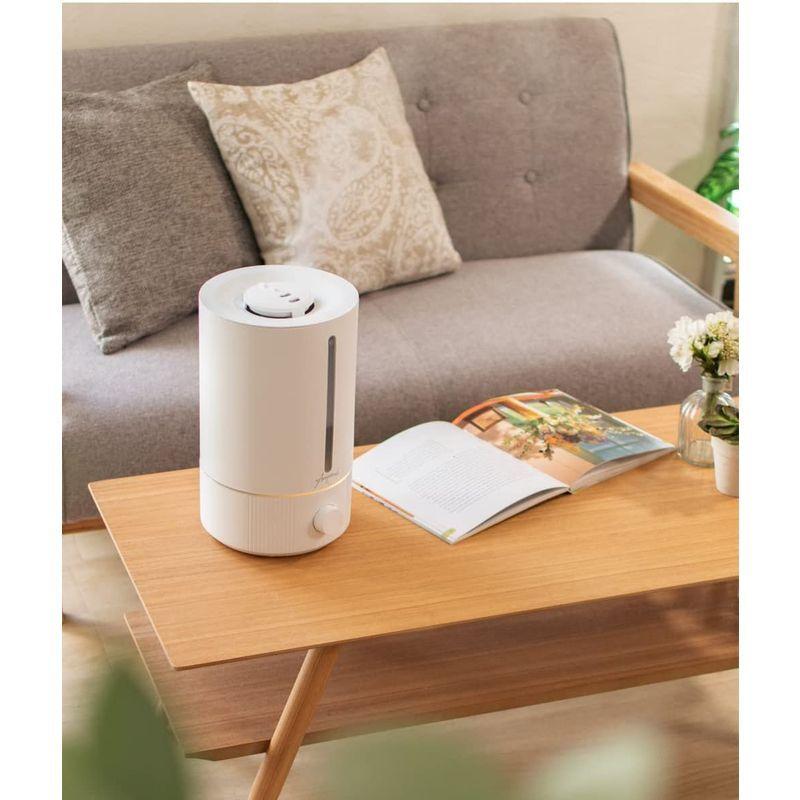 珍しい おしゃれ 加湿器 アンプール Ampoule 超音波加湿器 シ ナチュラル 北欧 寝室 リビング 卓上 アロマディフューザー ディフューザー 加湿器 Www Oroagri Eu