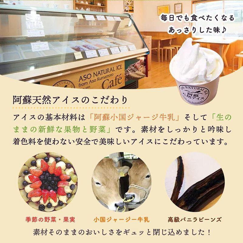 阿蘇天然アイス 無添加 アイス 極みシリーズ 乳 卵 アレルギーフリー 6個セット いちごアイス 2 玄米アイス 1 トマトアイス 苺一会 通販 Yahoo ショッピング