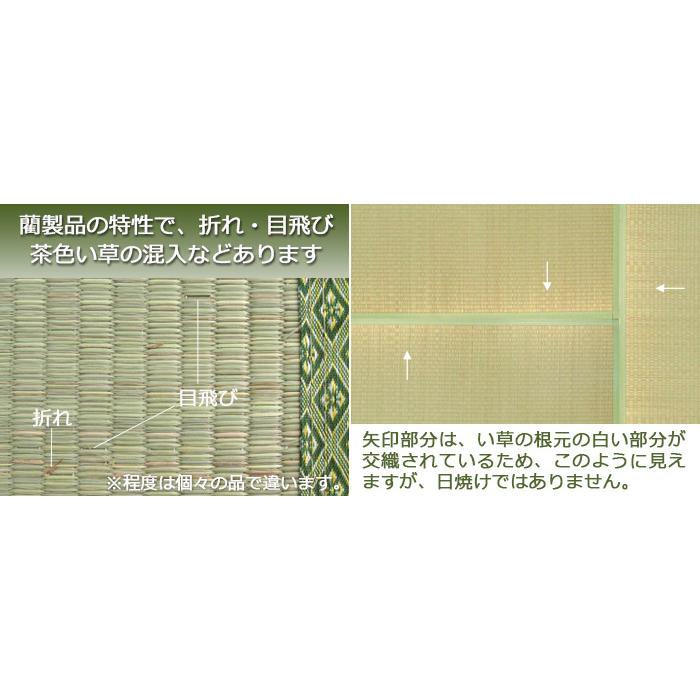 い草 カーペット ござ 上敷き 二畳 2畳 畳式上敷き 中京間 182×182cm