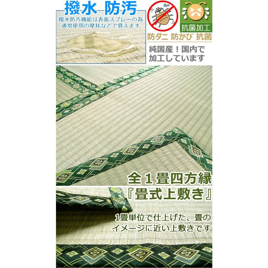期間限定特別価格 い草 カーペット ござ 上敷き 六畳 6畳 畳式上敷き 江戸間 261 352cm 防炎 7サイズ規格 送料無料 北海道 東北 沖縄を除く 夏用 夏 Cisama Sc Gov Br