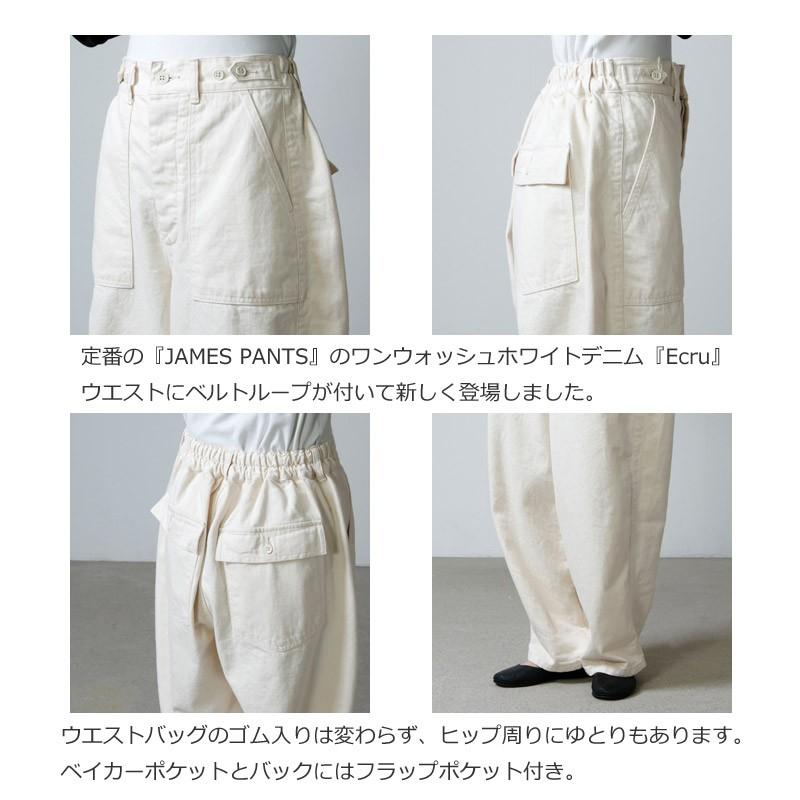 Ordinary fits Fits (オーディナリーフィッツ) JAMES PANTS one wash 