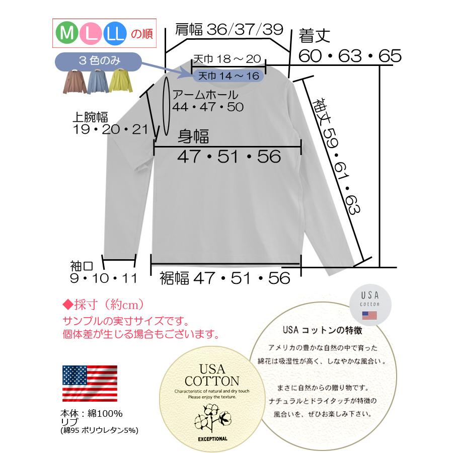 新色 全7色 USAコットン 綿100％ 長袖 丸首 Tシャツ カットソー 無地