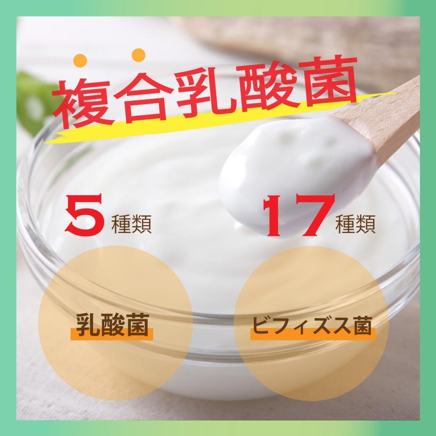 ファインラボ ファイナルグリーンMAX II 【300g】 : IDA-Online - 通販