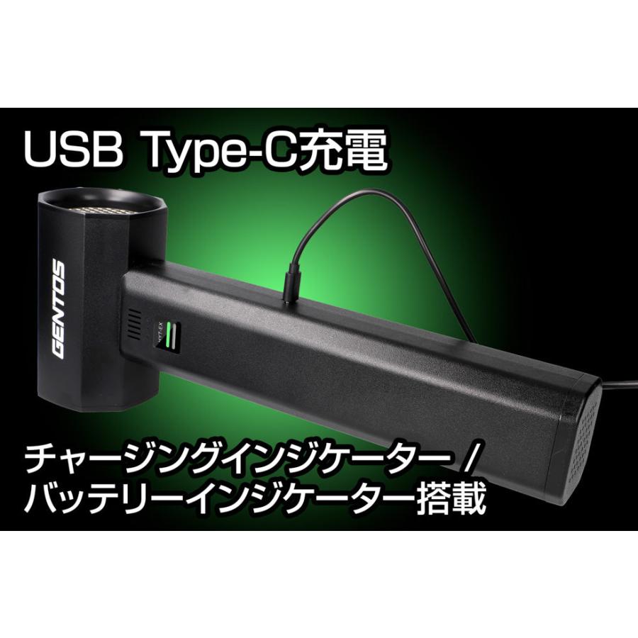 GENTOS（ジェントス） HYT-EX 充電式 大型ブロワー 疾風（はやて）USB