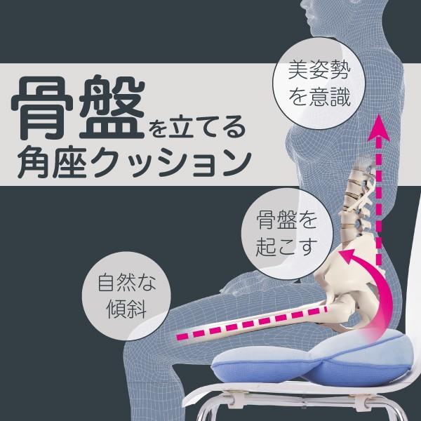 期間限定今なら送料無料 骨盤を起こして美姿勢をサポート 骨盤を