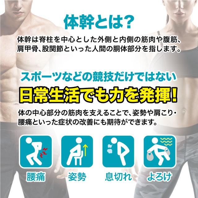 メンズ体幹加圧ウエストシェイパー 腰・お腹まわり 刺激 360°引き締め