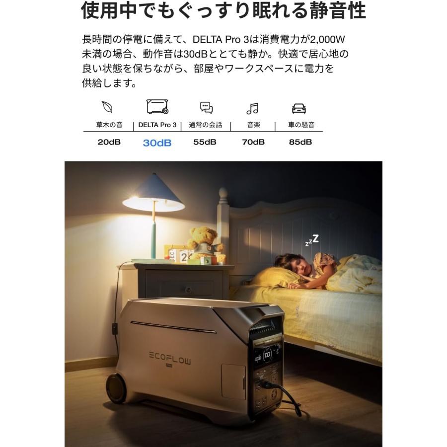 EcoFlow DELTA Pro3 ポータブル電源 4,096Wh EFDELTAPRO3-JP