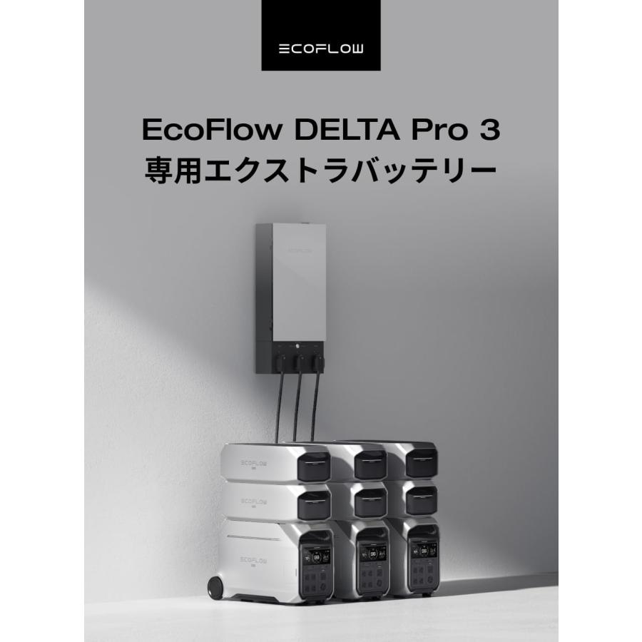 ECOFLOW エコフロー デルタプロ3専用エクストラバッテリー 容量4,000