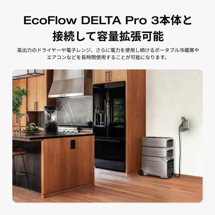 ECOFLOW エコフロー デルタプロ3専用エクストラバッテリー 容量4,000