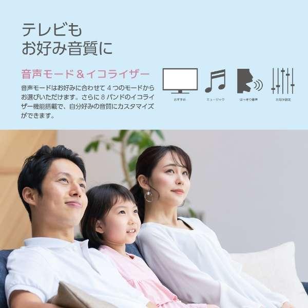 オリオン電気（ドウシシャ） オリオン 24V型ハイビジョン液晶テレビ
