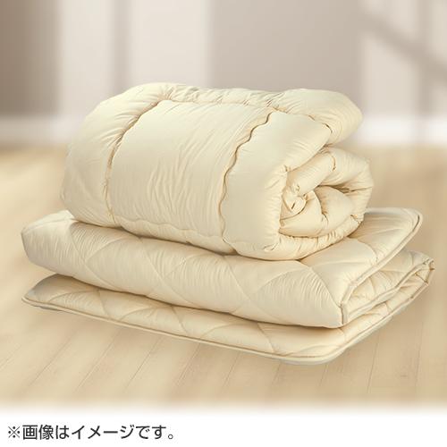西川（nishikawa） 【在庫処分特価】西川 掛け布団・敷き布団セット