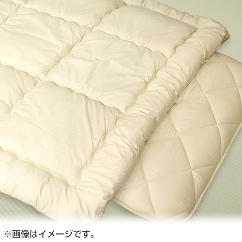 西川（nishikawa） 【在庫処分特価】西川 掛け布団・敷き布団セット