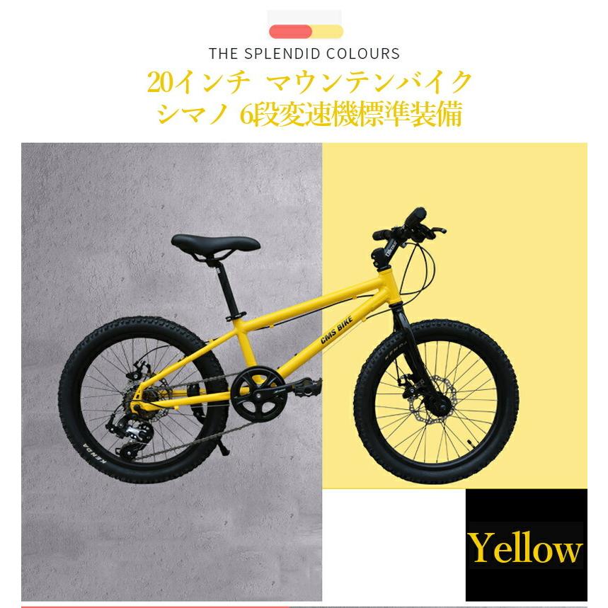 マウンテンバイク 子供用自転車 20インチ クロスバイク ジュニアバイク