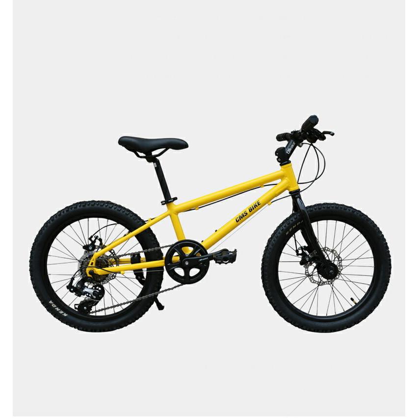 マウンテンバイク 子供用自転車 20インチ クロスバイク ジュニアバイク 