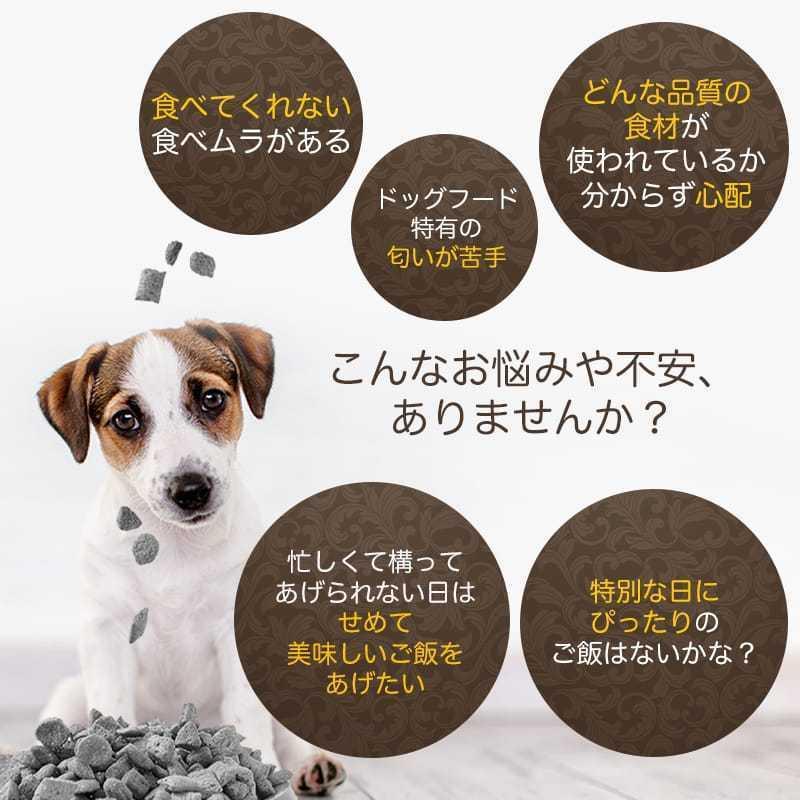 ドッグフード 鹿 無添加 「蝦夷鹿と野菜のこっくり煮込み 10個セット」 犬 ごはん 犬用 手作り ご飯 国産 鹿肉｜ideadogchef｜06