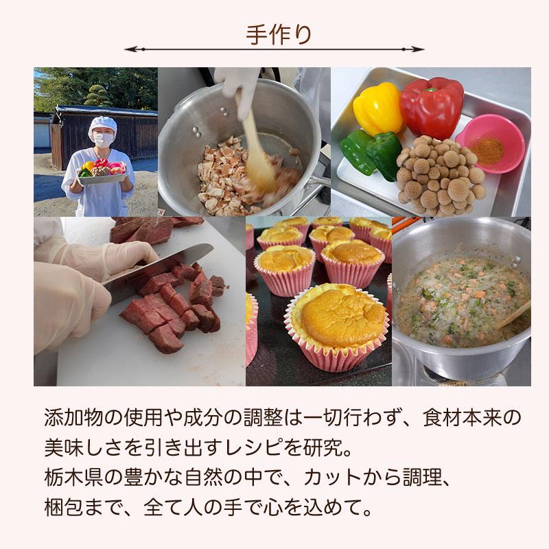 Idea Dog Chef Yahoo 店犬 クリスマス ケーキ 雪降るブッシュドノエル 犬用 ディナー プレゼント 誕生日 米粉 苺 最高級