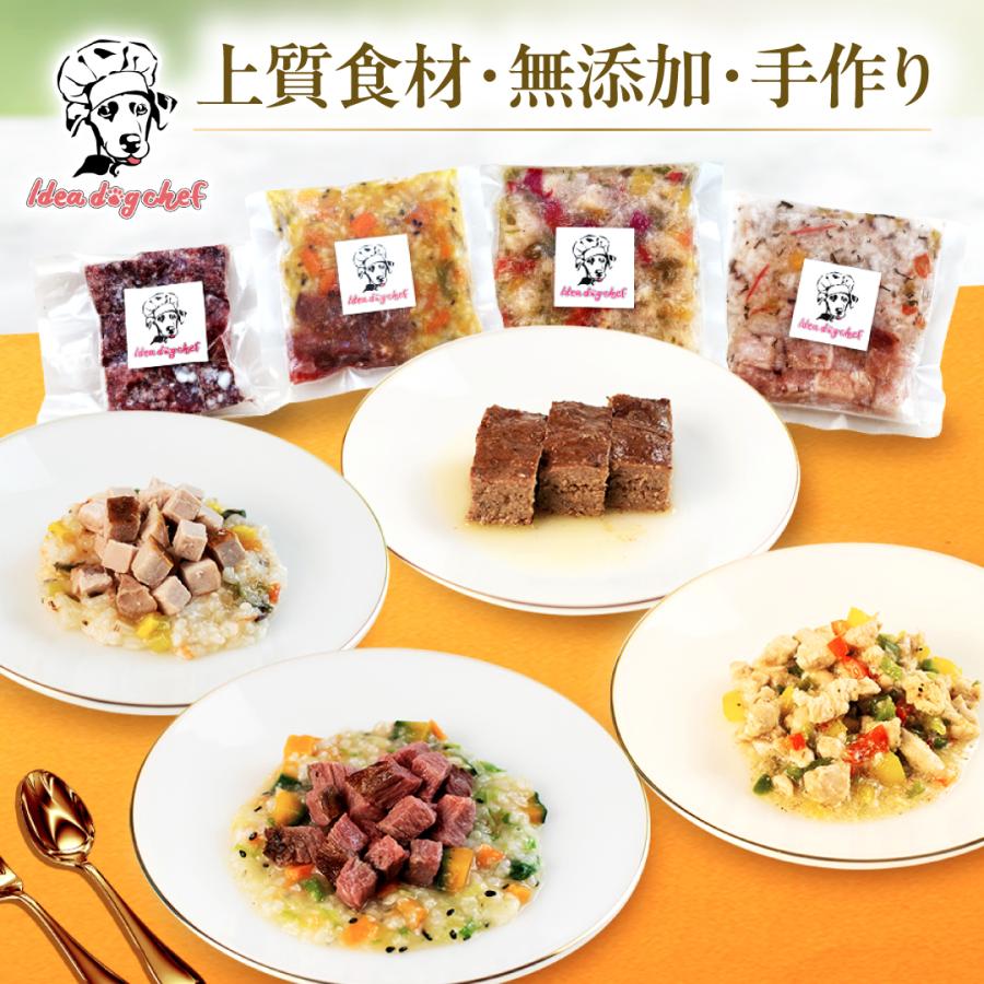 犬 手作り ご飯 「お試しセット」 犬用 ごはん ドッグフード 無添加