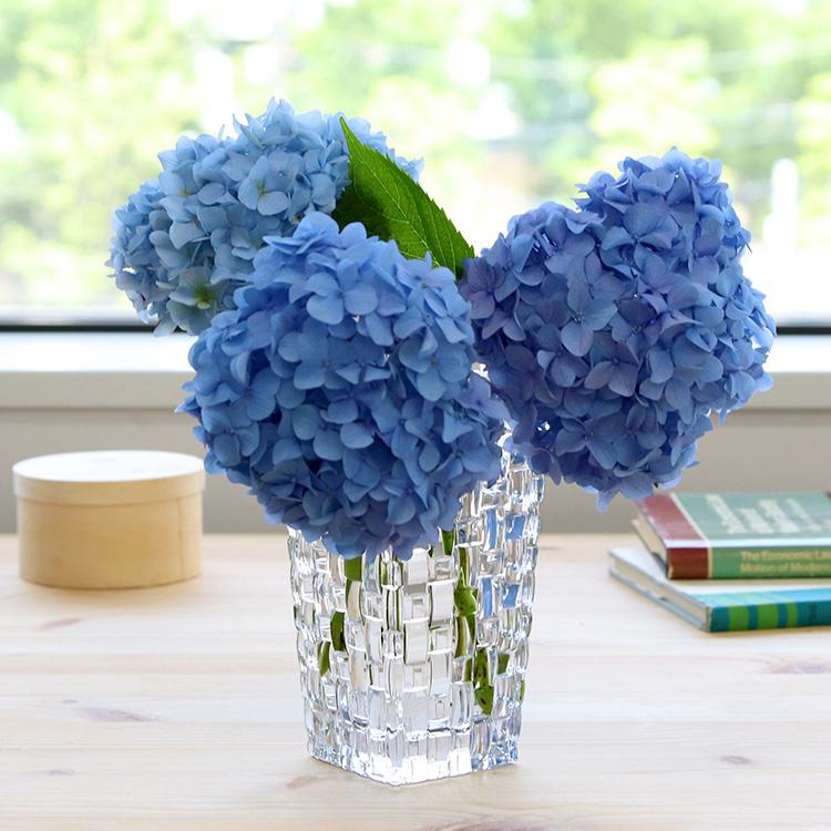 NACHTMANN 赤 カットクリスタル 花瓶 71vyYAqdBgL._UF350,350_QL80_.jpg